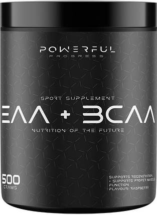 Амінокислоти Powerful Progress EAA + BCAA 500 g Яблуко, фото 1