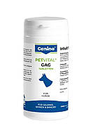 Витамины для собак при проблемах с суставами и мышцами Canina Petvital GAG 90 г/90 таб