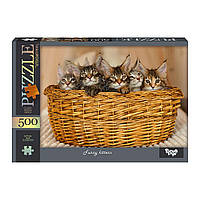 Пазли 500 елементів Funny kittens (серія 14 №9) Danko Toys    143179