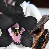 Аромамасло премиум "Экзотическая орхидея, ваниль, пудровые". США, "Vanilla Orchid". CS. 50 г