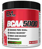 БССА EVLUTION Nutrition BCAA 5000 249 грамм