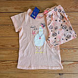 Дитяча літня піжама Lupilu на дівчинку р.86-92, фото 2