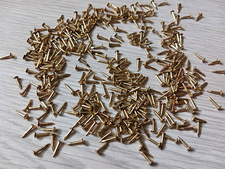Декоративні цвяхи. Крупна голівка. Колір золото 2х8мм. Комплект (10шт), фото 1