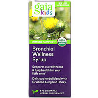 Gaia Herbs, детский сироп для здоровья бронхов, 89 мл (3 жидк. унции)