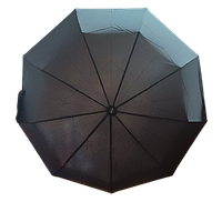 Полуавтоматический складной зонт A1252 Флагман