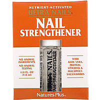 Nature's Plus, Ultra Nails, средство для укрепления ногтей, 7,4 мл