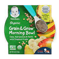 Gerber, Grain & Grow Morning Bowl, органический продукт, для малышей от 10 месяцев, овсянка, красное киноа и
