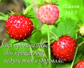 Міні-листівка: Всі провини Твої Він прощає ... #100