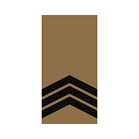Шеврон Погон сержант Койот Шевроны на заказ Шеврон на липучке Военные погоны ВСУ (AN-12-27-6)
