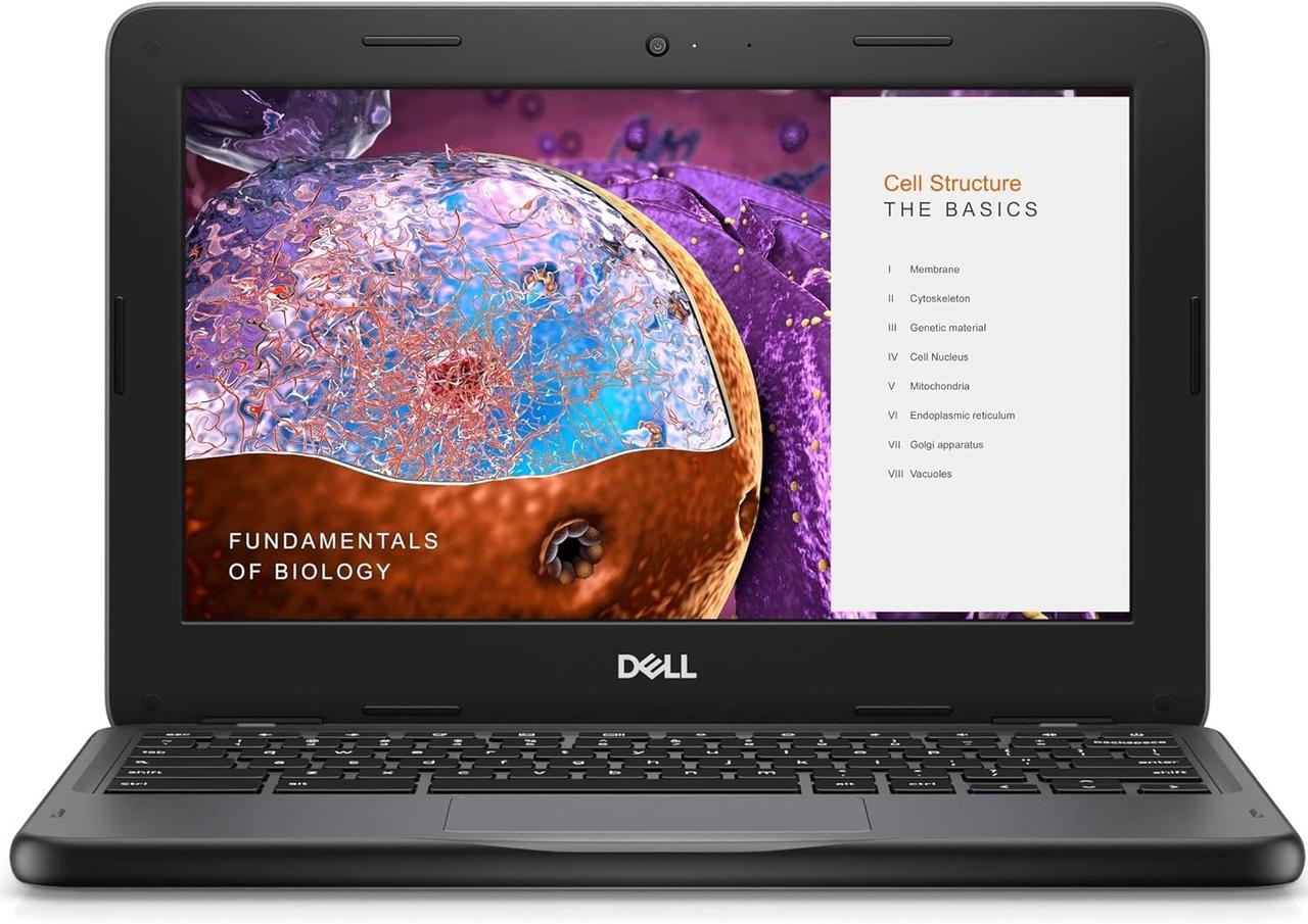 Ноутбук Dell JSL 11 Chromebook 3110 (NHWDJ)