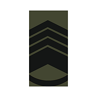 Шеврон Погон главный мастер сержант олива Шевроны на заказ Шеврон на липучке Военные погоны ВСУ (AN-12-27-110)
