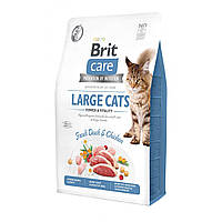 Корм для кошек крупных пород Brit Care Large Cats Power Vitality 2 кг с курицей и уткой PM, код: 6763287