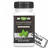 Концентрований хлорофіл (Chlorofresh), фото 3