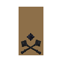Шеврон Погон бригадный генерал койот Шевроны на заказ Шеврон на липучке Военные погоны ВСУ (AN-12-27-44)