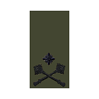Шеврон Погон бригадный генерал олива Шевроны на заказ Шеврон на липучке Военные погоны ВСУ (AN-12-27-45)