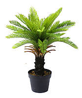 Штучна рослина Engard Cycas Palm, 60 см (DW-24) EJ, код: 8197825
