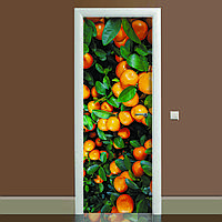 Наклейка на дверь Zatarga Цитрус 01 650х2000 мм Оранжевый (Z180068 dv) EM, код: 1804488
