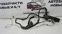 Дріт задній правих дверей Renault Megane 2 (2003-2009) OE:8200217370