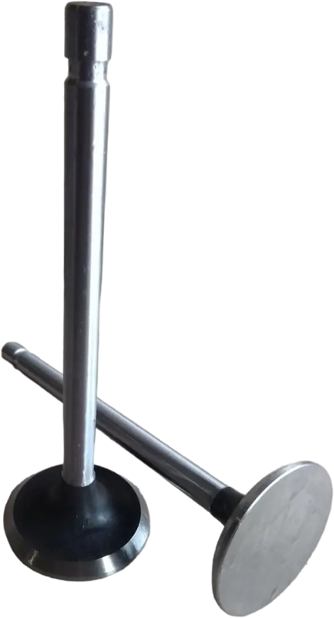 Клапан Д37М-1007015 випускний Т-40, фото 1