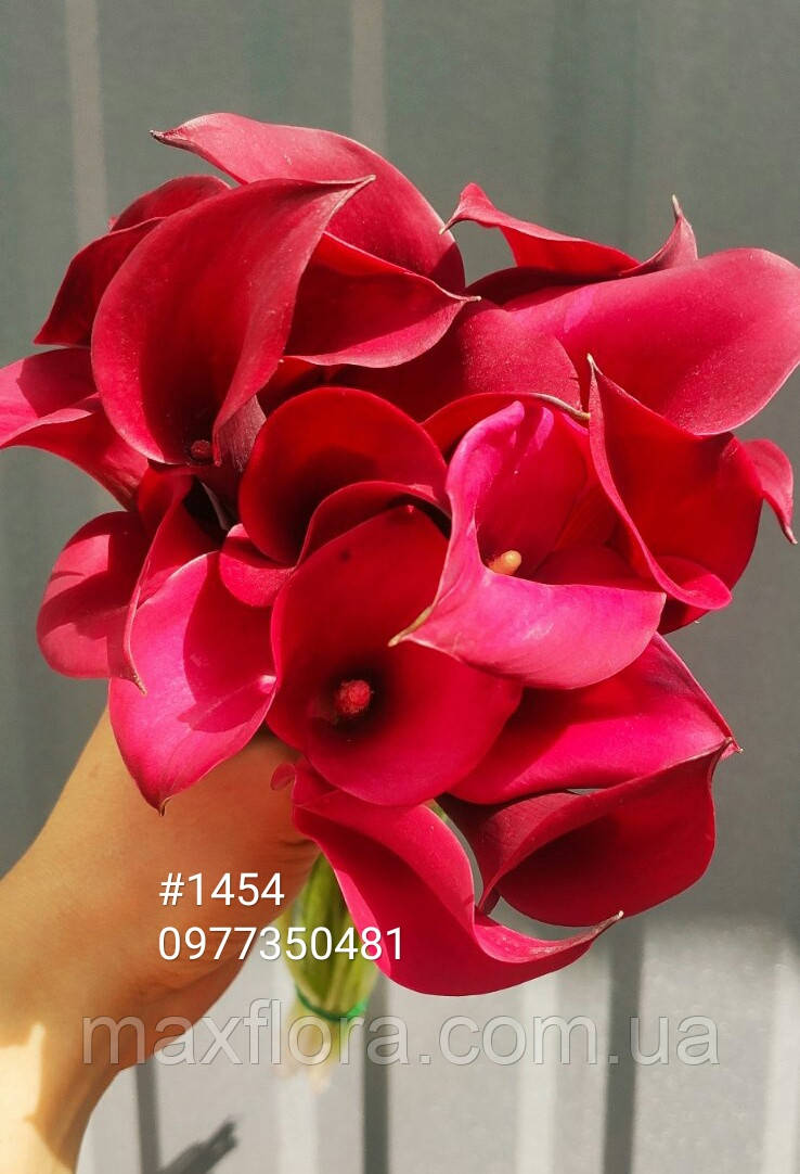 Калла California Red 10/12, фото 1