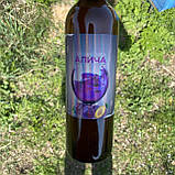 Питний мед Алича 2023 р 750 мл, фото 3