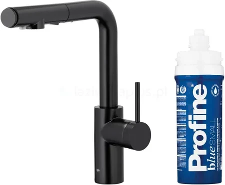 Кухонні змішувач Kfa Armatura Duero Pure Basic Z Filtrem 662311381