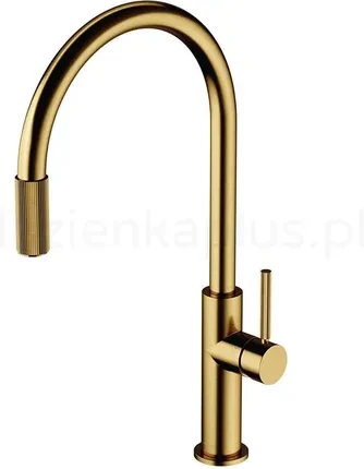 Кухонні змішувач Omnires Switch Złoty Szczotkowany SW9057GLB