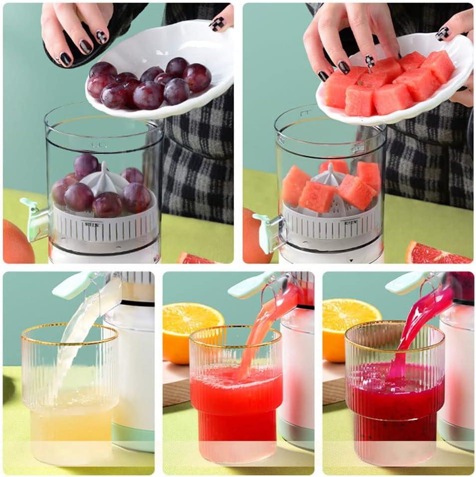 Соковыжималка для ягод и фруктов LY-9 ZXC - фото 6 - id-p2194670874