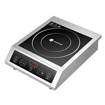 Індукційні плити