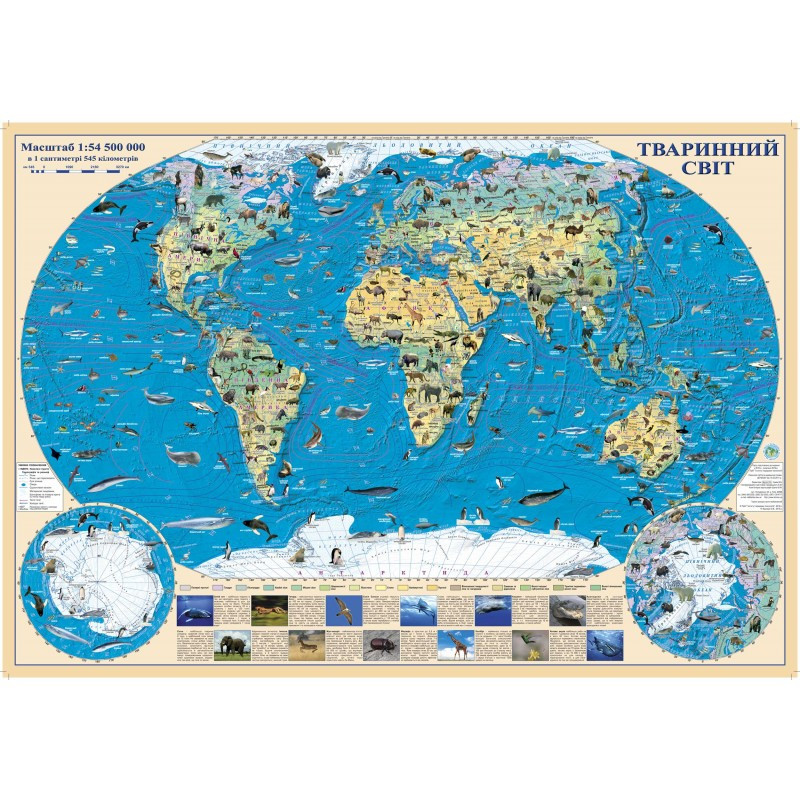 Карта тварин світу М1:54 500 000 картон 65*45см картон, фото 1
