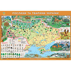 Карта України. Рослини та тварини М1:3 000 000, 65*45см картон