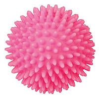 Игрушка для собак Trixie Мяч игольчатый с пищалкой d=10 см (винил, цвета в ассортименте) - 3412 d