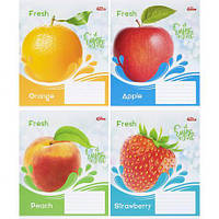 От 16 шт. Зошит кольоровий 24 листи, клітина 3610 N купить оптом