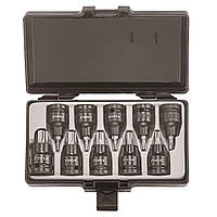 1/2" Набір головок-біт Torx ударних 10 пр. (T20-T70) (FORCE 4108)