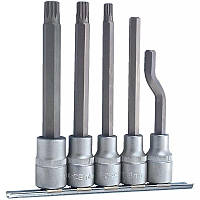 1/2" Набір головок-біт спеціальних 5 пр. (FORCE 4059)