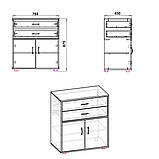 Комод 2+2 яблуня Компаніт (78х45х88 см), фото 2