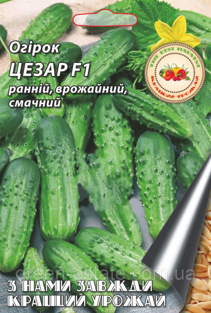 Огірок Цезар F1, 2 г.