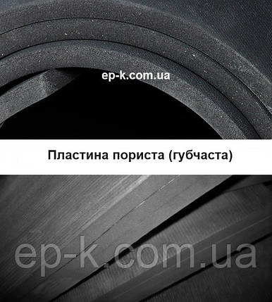 Пластина пориста (губчаста) 12 мм, 1000 х 1000, фото 1