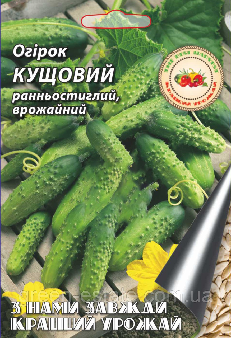 Огурец Кустовой 3 г. - фото 1 - id-p459218877