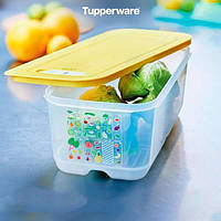 Контейнер "Умный холодильник" 6.1л Tupperware