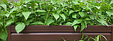 Високі теплі грядки і клумби металеві збірні для саду та городу (висота 19см ширина 1.25м довжина 1.25м), фото 6