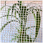 Тент армований тарпауліновий 20 кв.м прозорий 90 щільність 4х5 м Agreen, фото 5