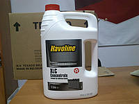 Концентрат антифриза Texaco Havoline XLC Concentrate 0F02, канистра 5 литров