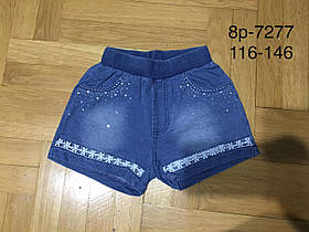 Шорти під джинс для дівчаток оптом, Glass Bear, розміри 116-146, арт. 8p-7277