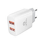 DR Мережевий Зарядний пристрій Ridea RW-21011 Element Duo 2 USB 2.1 A Колір Білий, фото 6