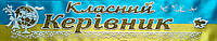 Класний керівник - стрічка атлас, глітер, обводка (укр.мова) ЖБ, Золотистый, Белый, Украинский