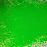 Пігмент флуоресцентний неон "Зелений" NoxTon, фото 5