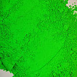 Пігмент флуоресцентний неон "Зелений" NoxTon, фото 6