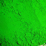 Пігмент флуоресцентний неон "Зелений" NoxTon, фото 9