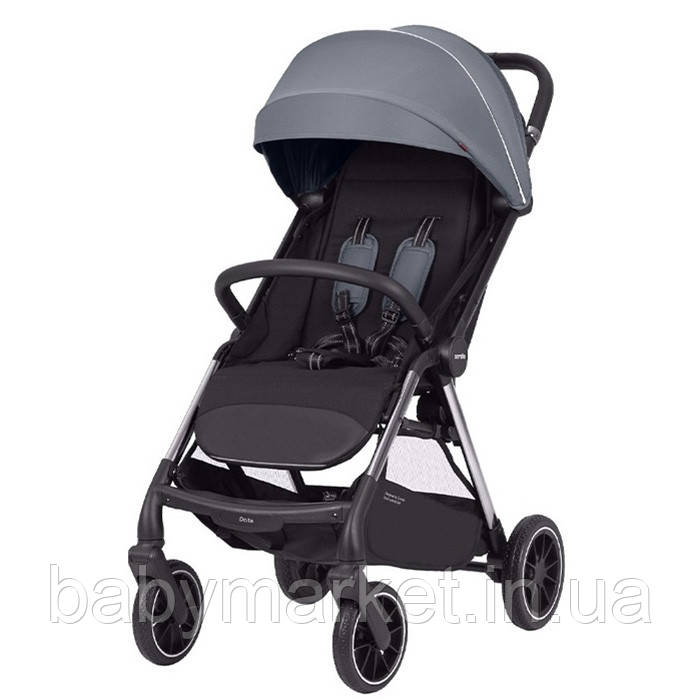 Коляска прогулянкова Carrello Delta 2024 CRL-5517 (flint grey)